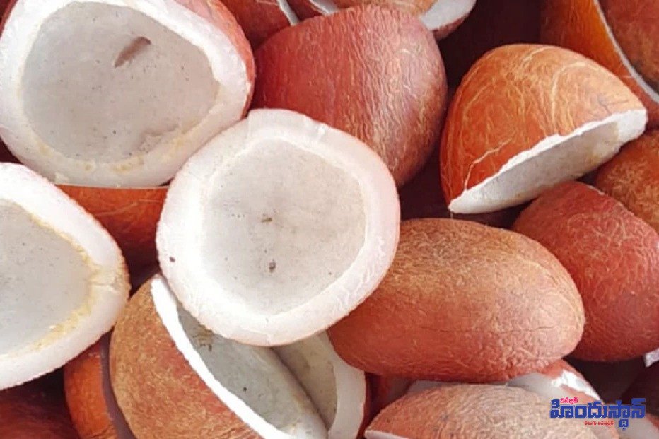 బ్రష్‌ ఎన్ని రోజులు ఉపయోగించాలి? - Additional Image